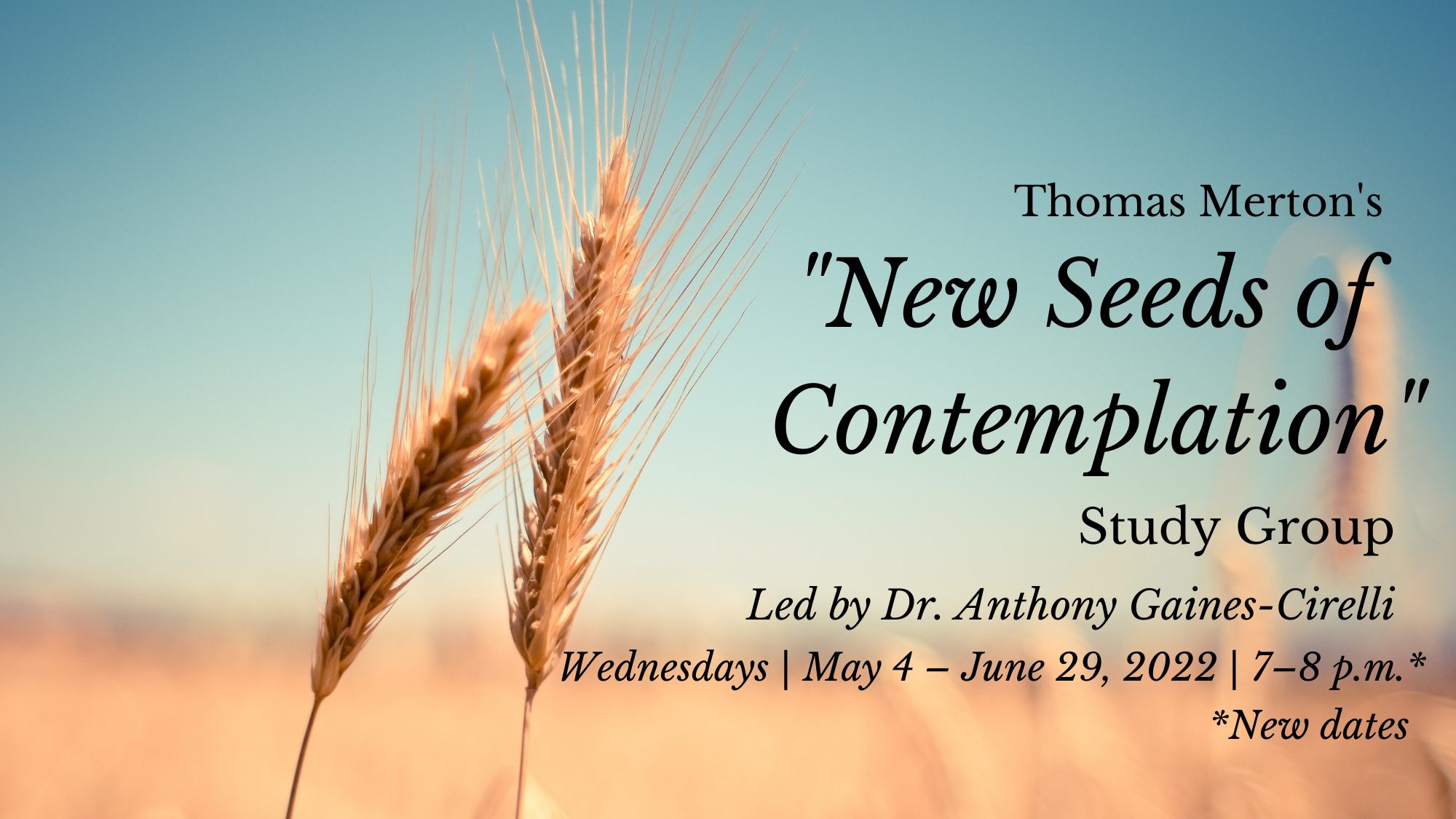 Thomas Merton's "New Seeds of Contemplation" Study Group