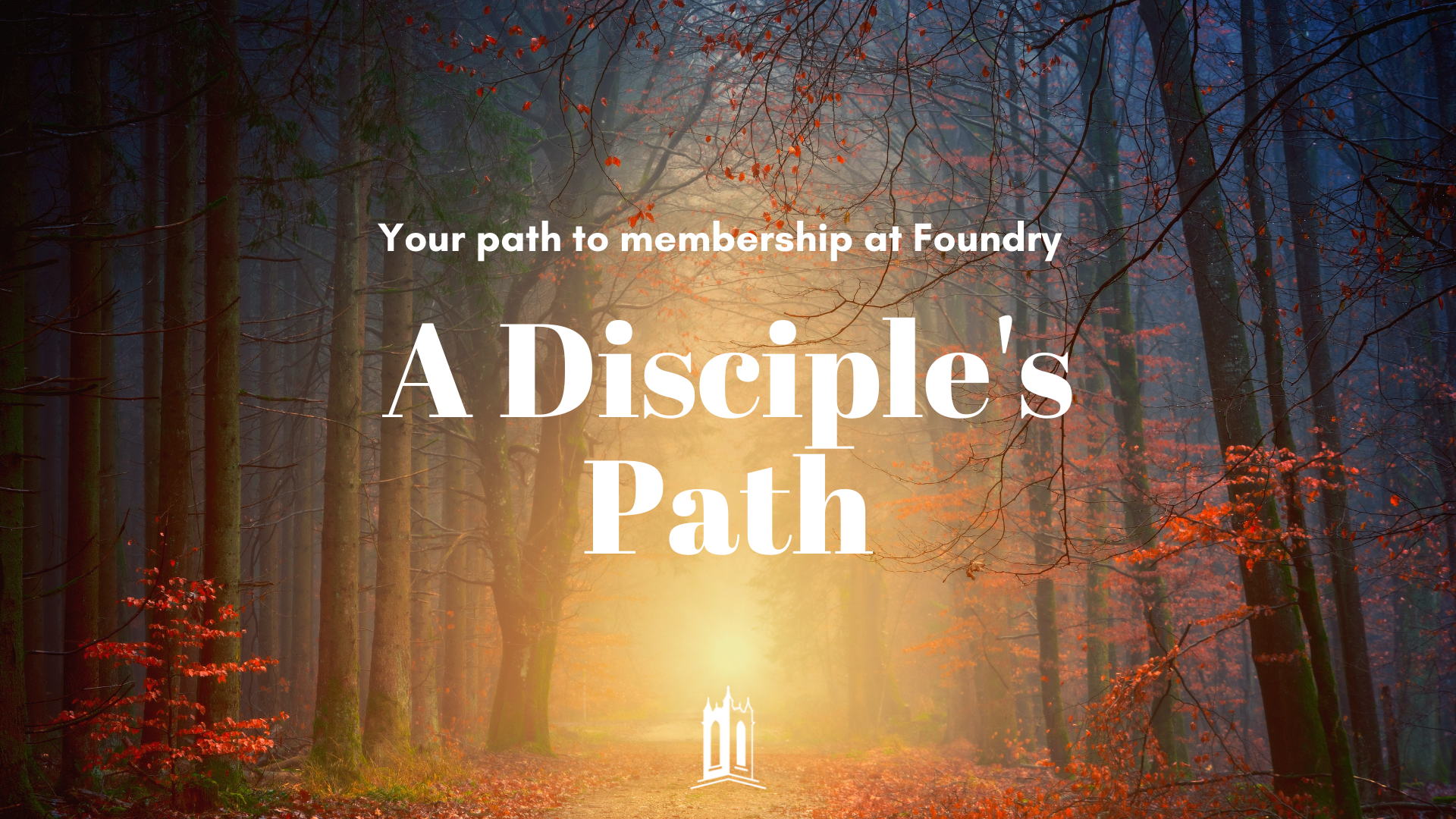 A Disciple's Path